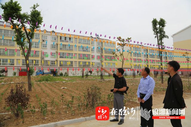 近日,临沭县大兴镇西后涝枝村党支部组织开展"党旗在基层一线高高飘扬