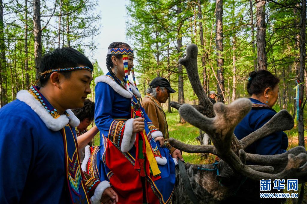 6月8日,新娘何琦韩骑着驯鹿行进在森林里.