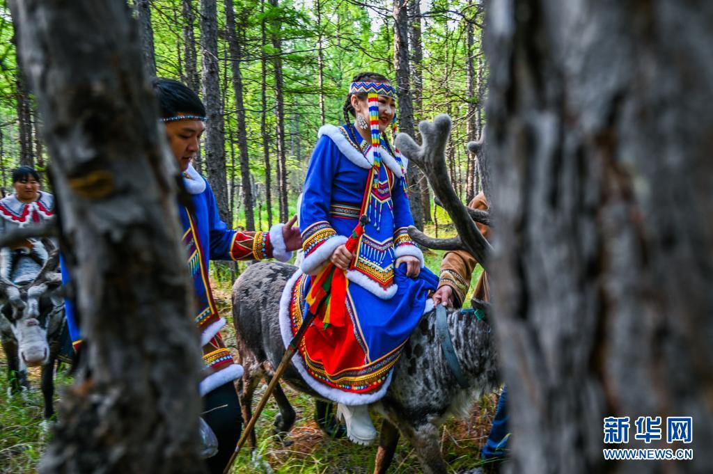 6月8日,新娘何琦韩骑着驯鹿在森林中行进.
