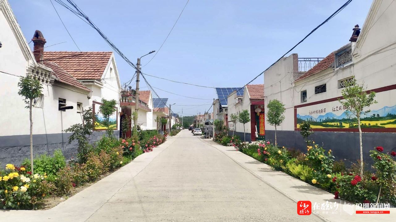 镇街新闻武台镇学习百年党史建设美丽乡村