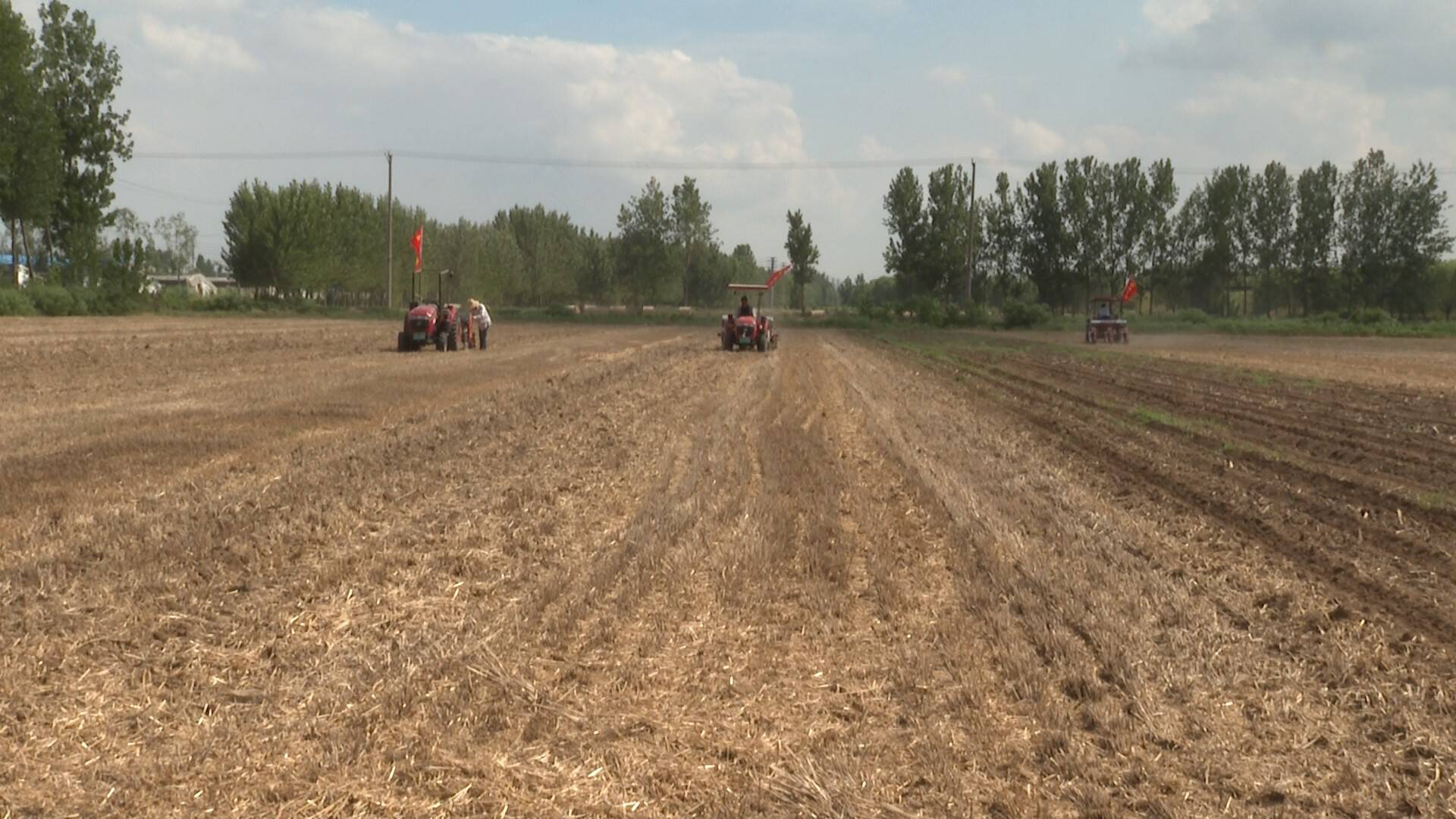 河东玉米免耕机播助推农业全程机械化