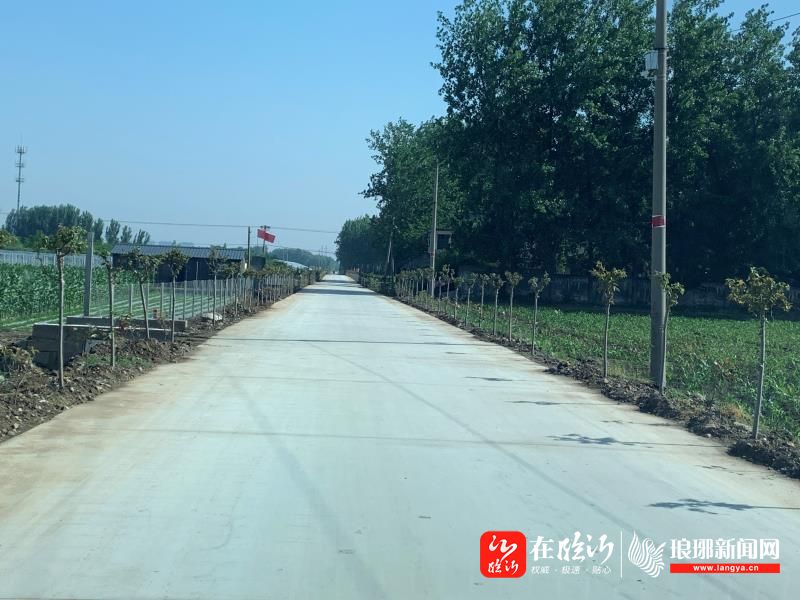 富强精美新罗庄镇街要闻册山街道高标准农田建设跑出乡村振兴加速度