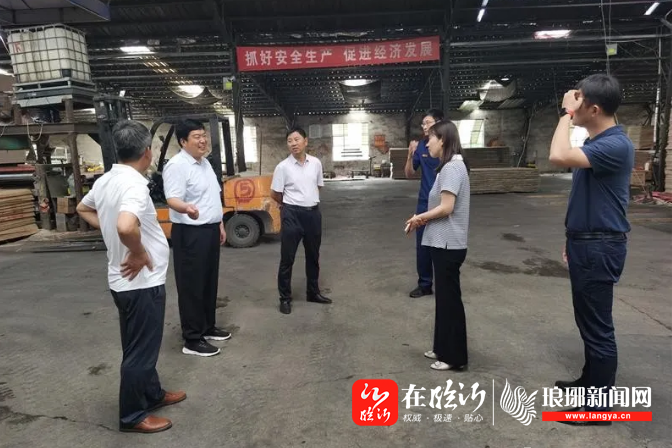 段晓莉到马庄镇督导检查安全生产工作