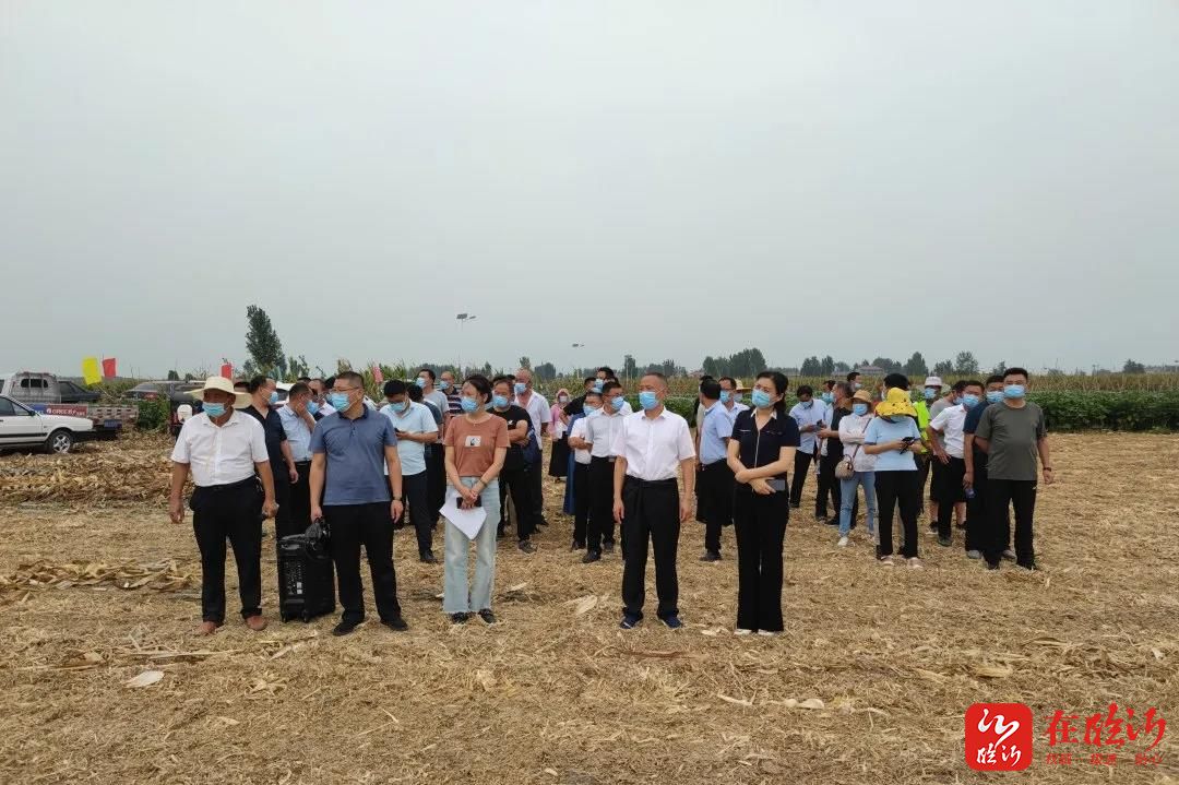 学党史 办实事 | 兰陵县磨山镇:"四个一"工作法,筑牢秋季秸秆禁烧防线