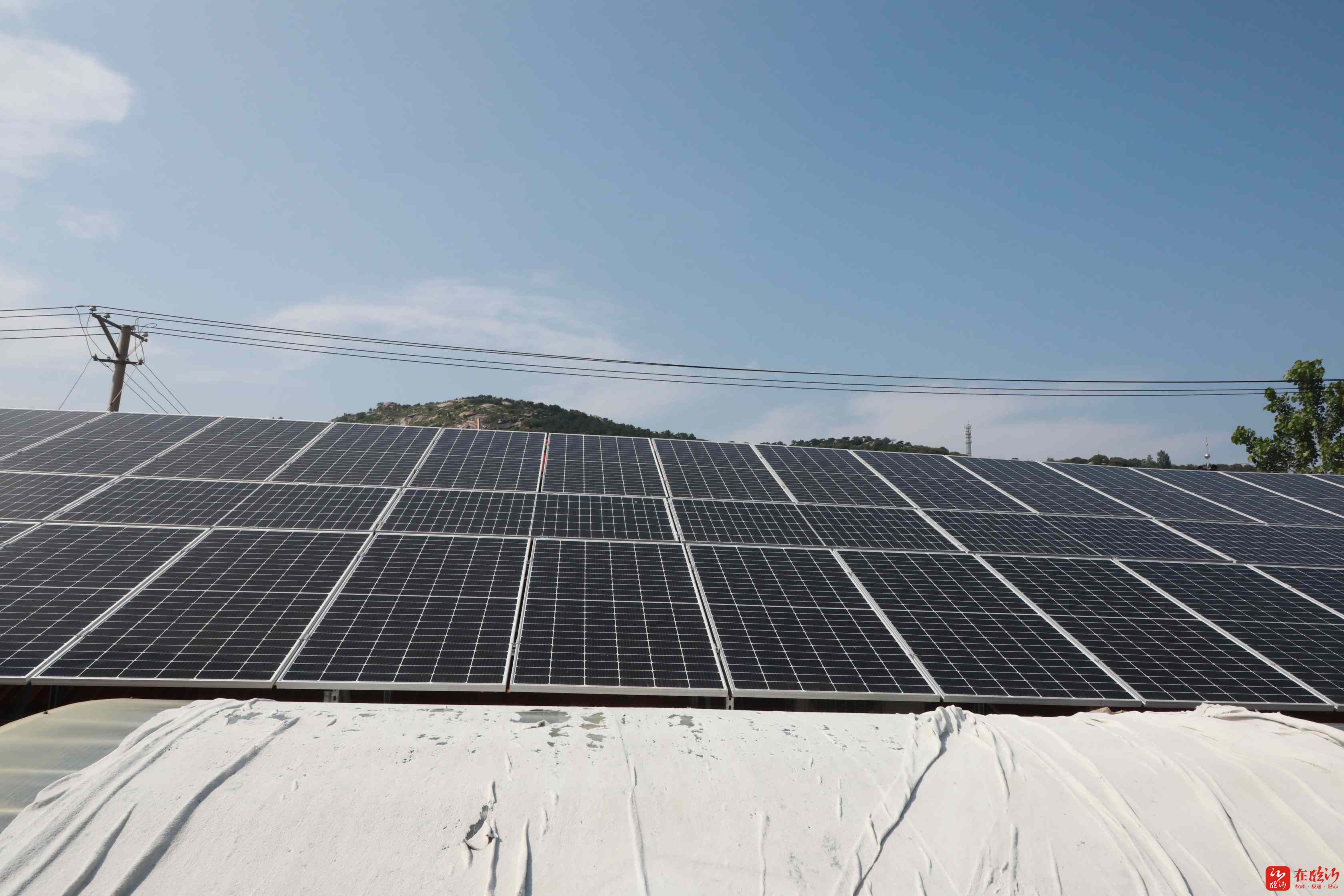 临报国企要闻丨光伏金屋顶照耀乡村振兴路