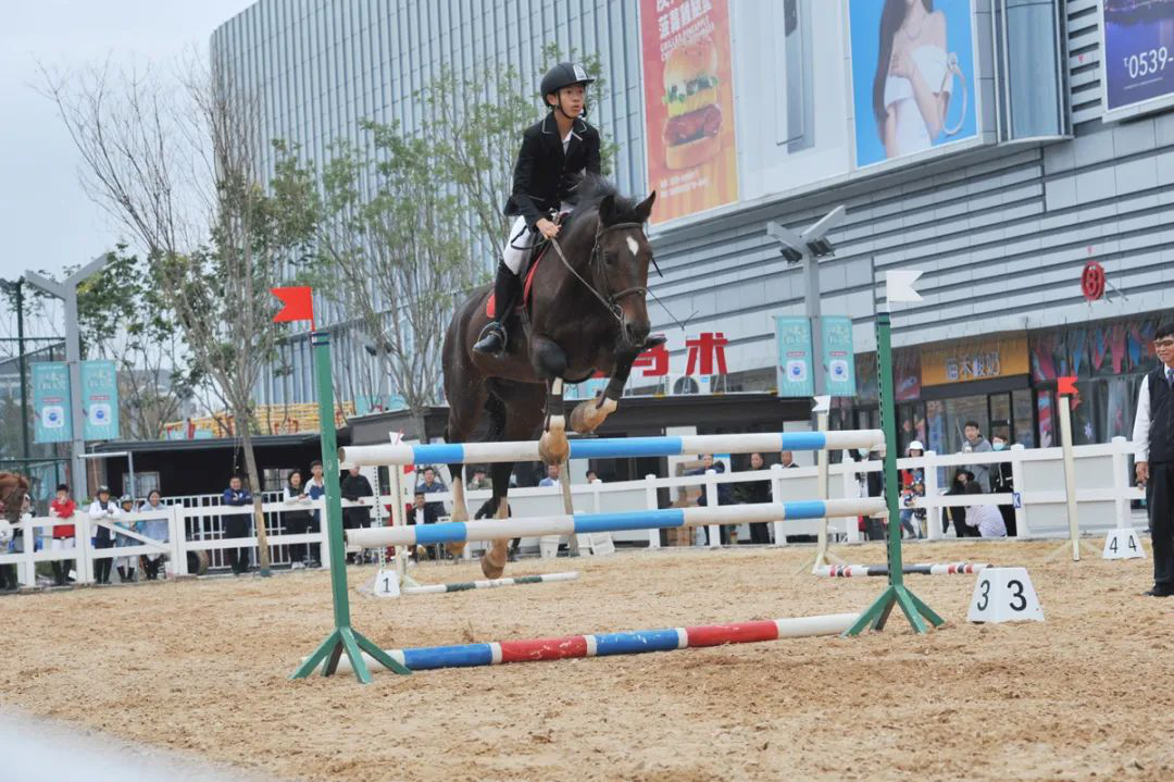 山东临沂第六届马术文化节2021万达杯山东省商场马术赛暨临沂市第十一