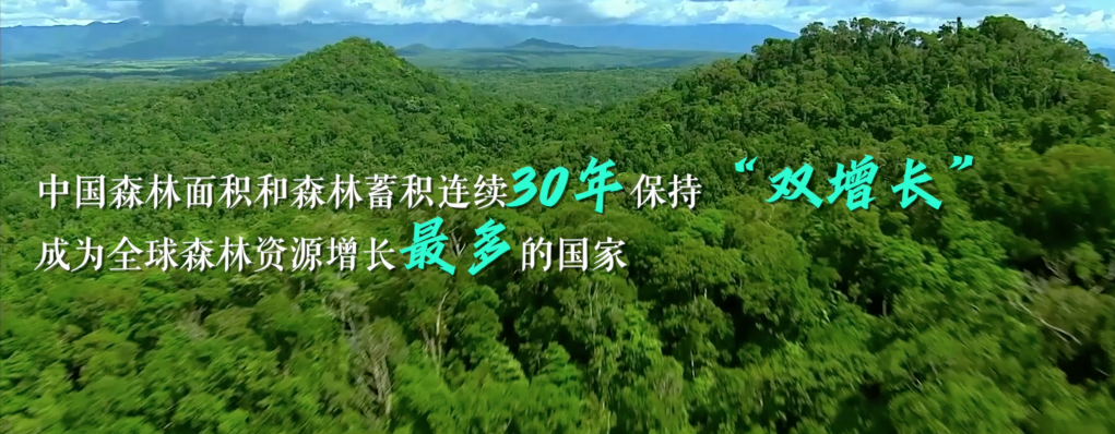 保护生物多样性中国交出这份答卷