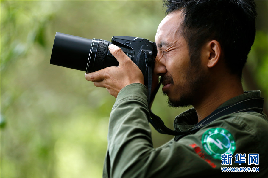 图片故事无量山守护者李剑的心愿