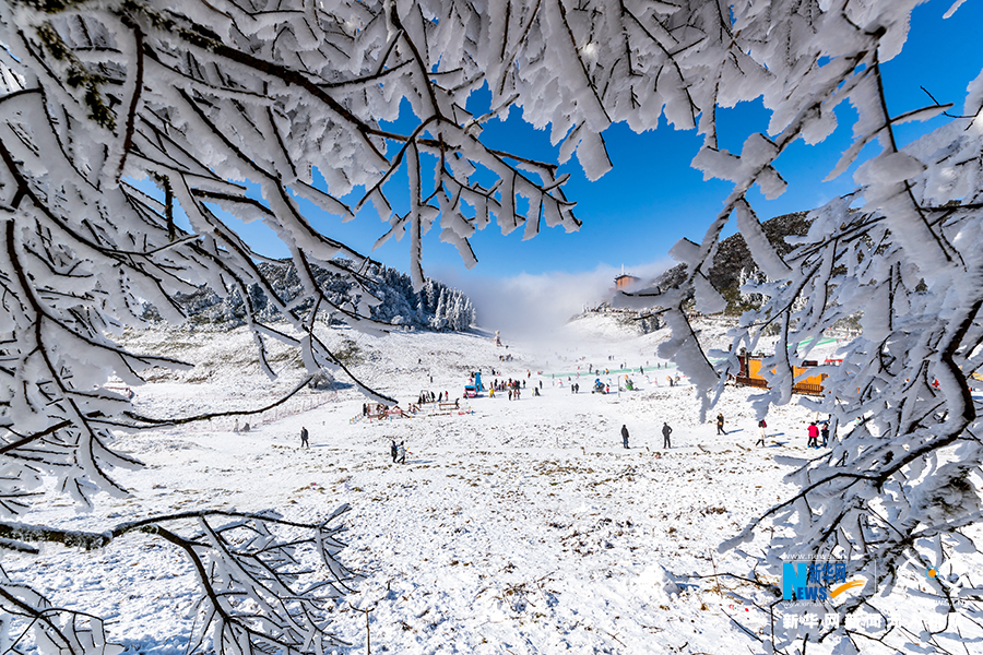 重庆金佛山看雪图片