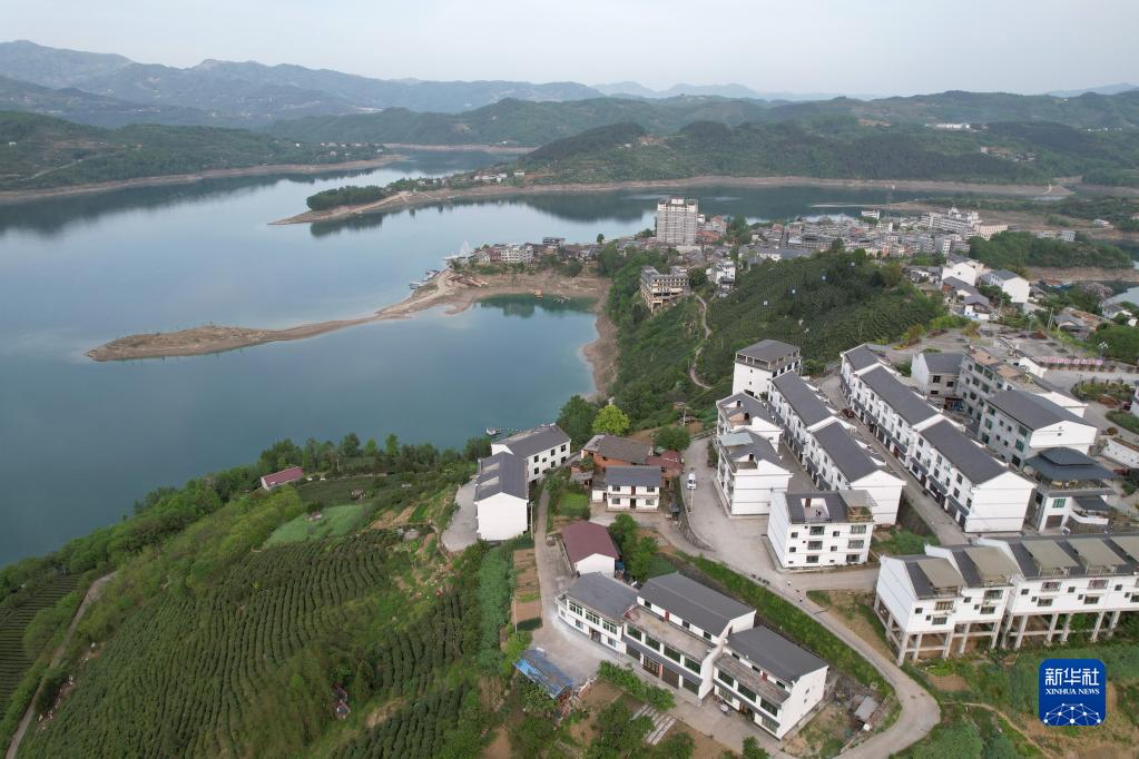 近日,位于汉江上游的陕西省安康市汉滨区流水镇茶园里春意盎然,一派