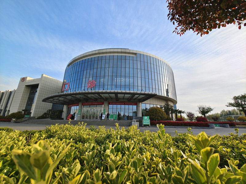 临沭县人民医院满院春色关不住春风十里不如你