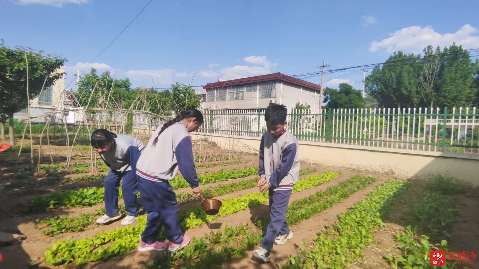 而种地的"主角"也由面朝黄土背朝天的庄稼汉"变"成了满脸稚气的小学生