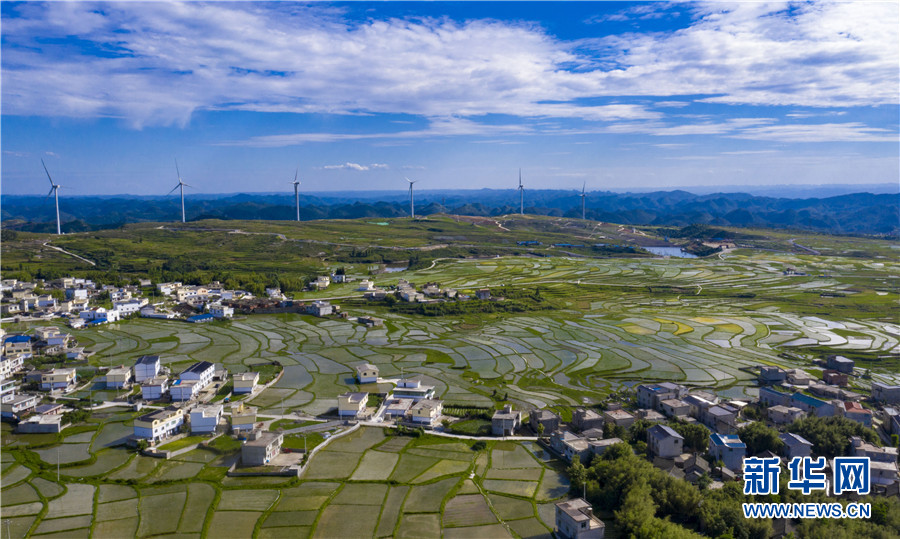 贵州省贵阳市夏日田园图片