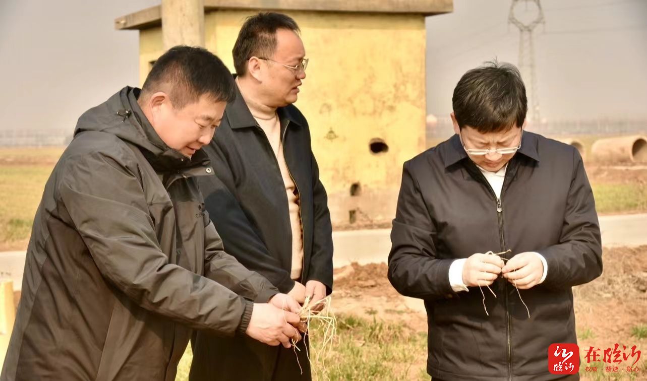 平邑街道农业办主任高恩良表示,平邑街道将认真吸收宝贵意见,细致抓好