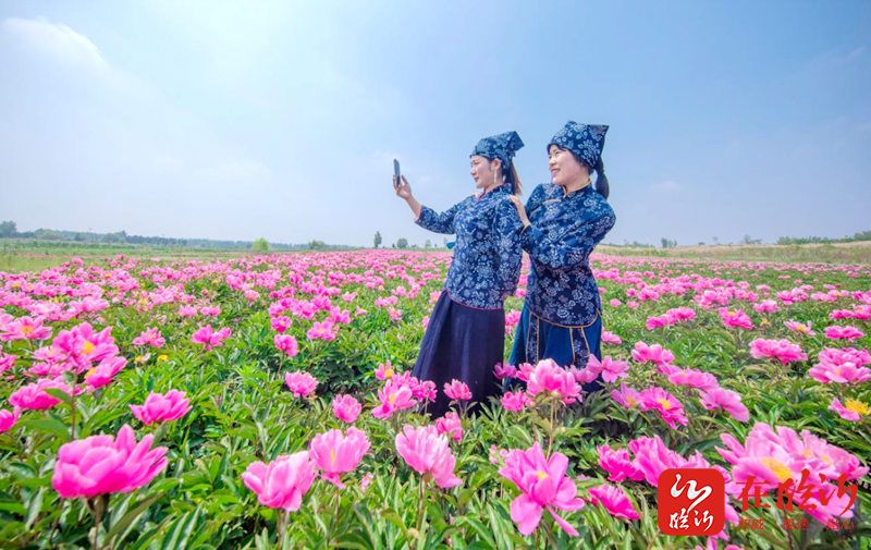 兰陵山里王景区图片