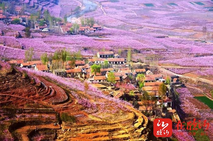 了蒙阴县桃花旅游节4月6日在岱崮举办