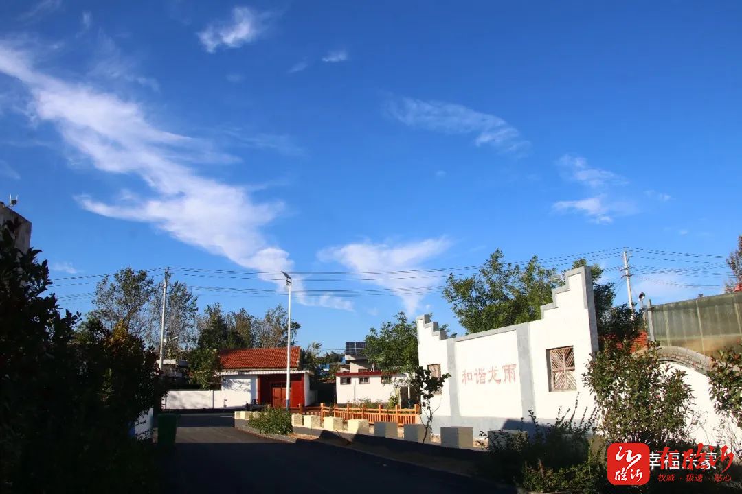 临报费县新闻王中兴为民服务守初心主动作为担使命