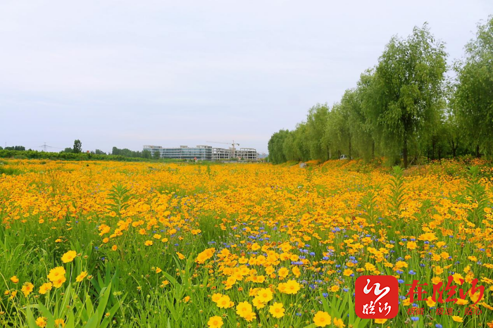 蒙阴云蒙湖图片