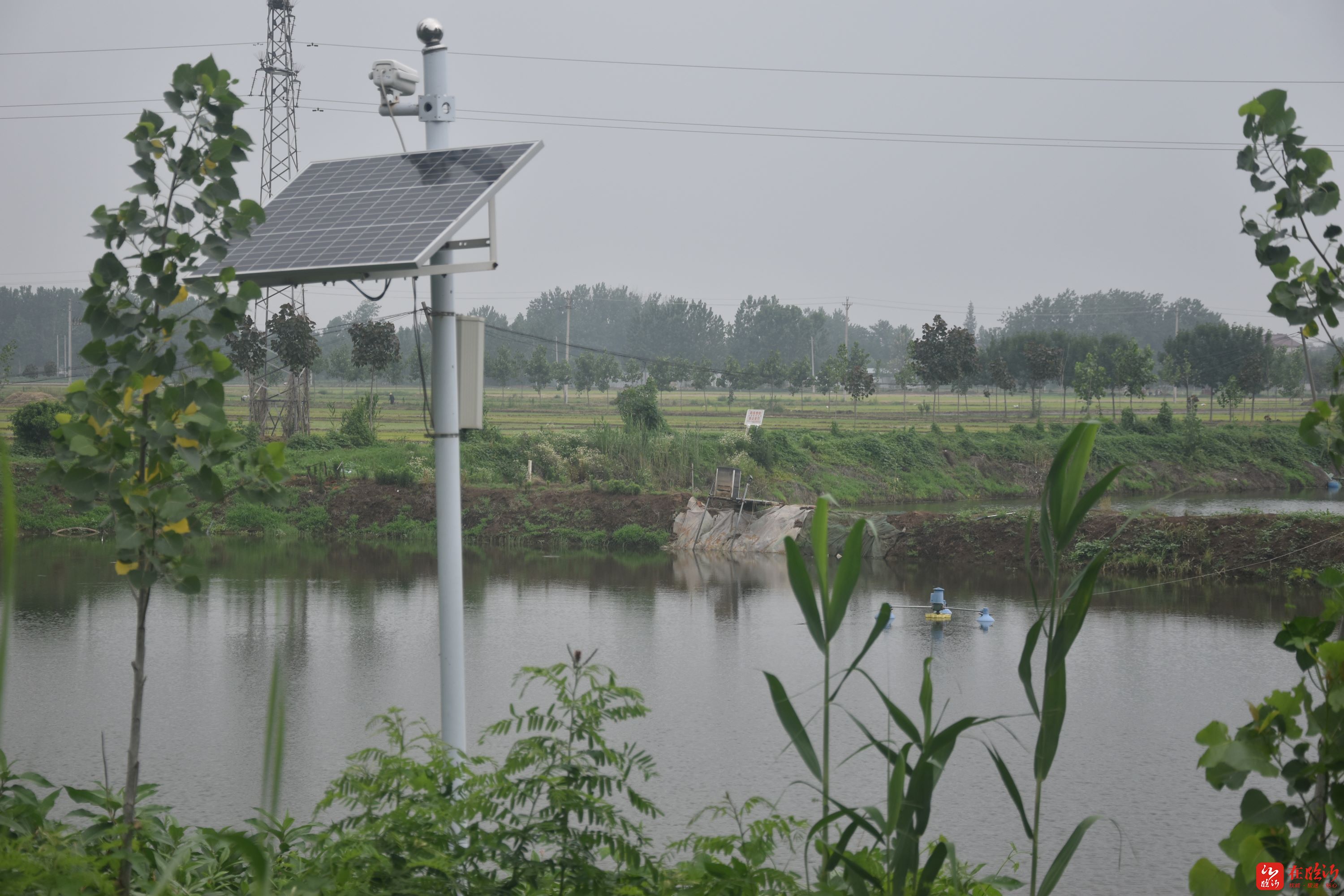 郯城县归昌乡智能监控筑牢防溺水安全防线