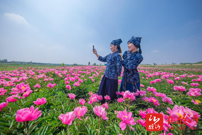 兰陵县山里王风景区图片