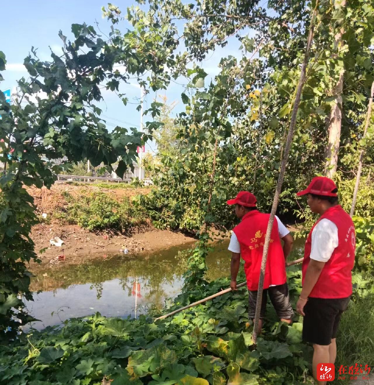 郯城县马头镇防溺水党代表在行动