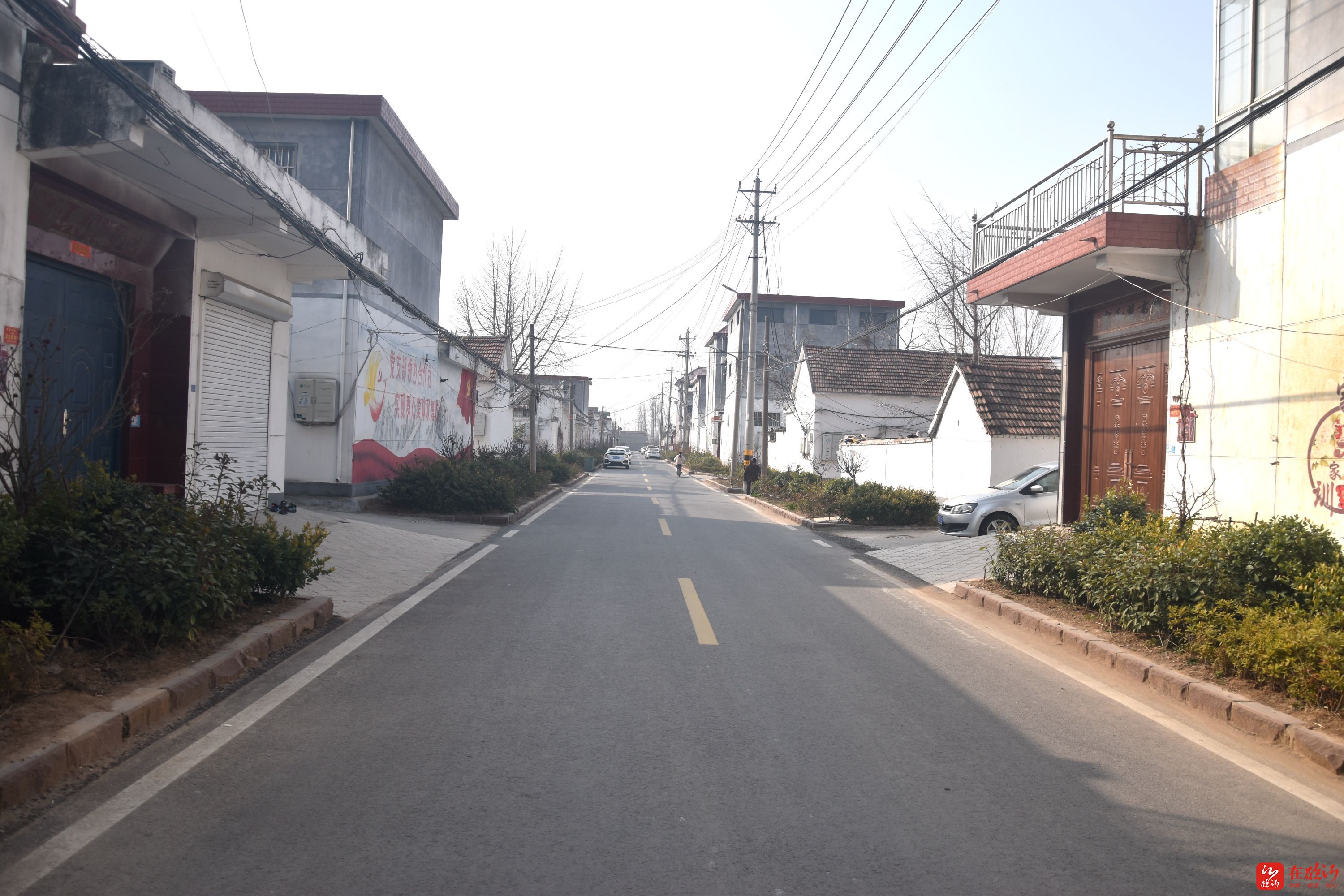 郯城县归昌乡绘就乡村振兴新画卷