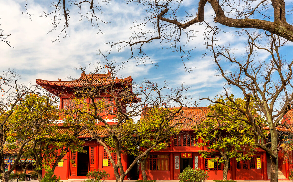 跟着旅发大会游临沂郯子故里银杏之都