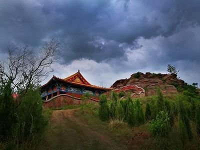 跟着旅发大会游临沂郯子故里银杏之都