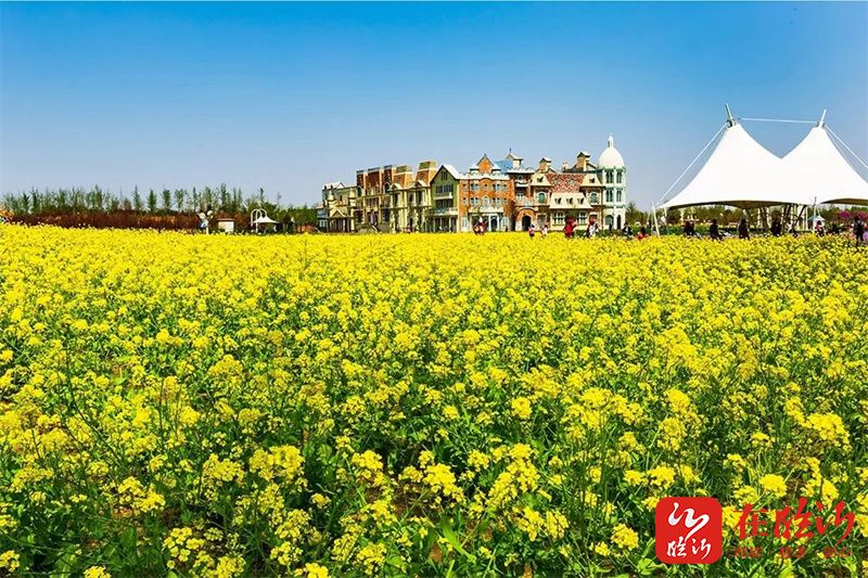 美在龙园共赏春花临沂首家我和花神有个约会花朝节选秀大赛即将在龙园