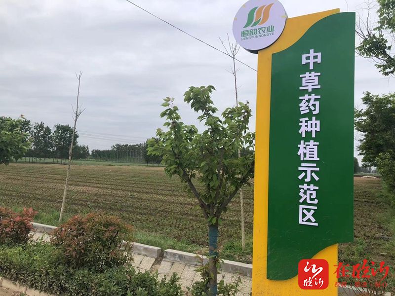 临报兰山头条(55)61一镇一业成大业|方城镇:党委领办联合社创新探索