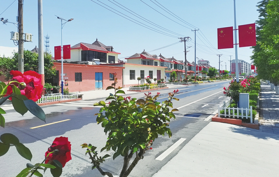 山东省临沂市罗庄区深入贯彻落实新发展理念,突出问题导向,立足解决