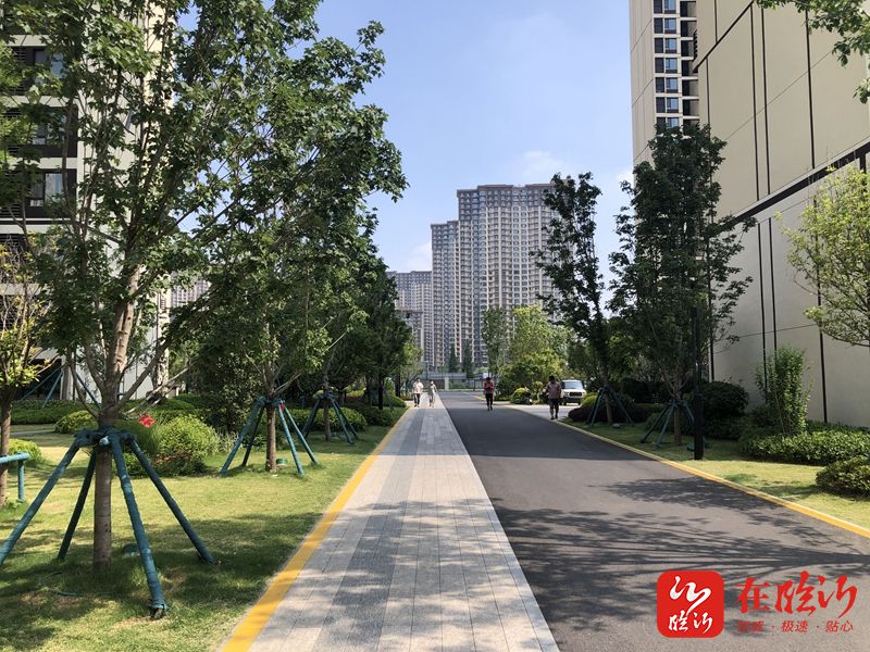 临报兰山头条(68)61首善之区|银雀山街道七里沟片区居民喜提新房