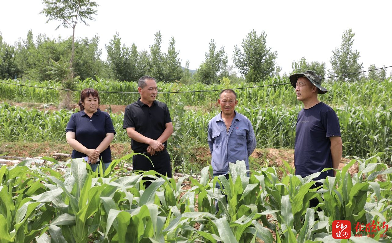 镇街新闻|流峪镇:循环生态农业谱新篇