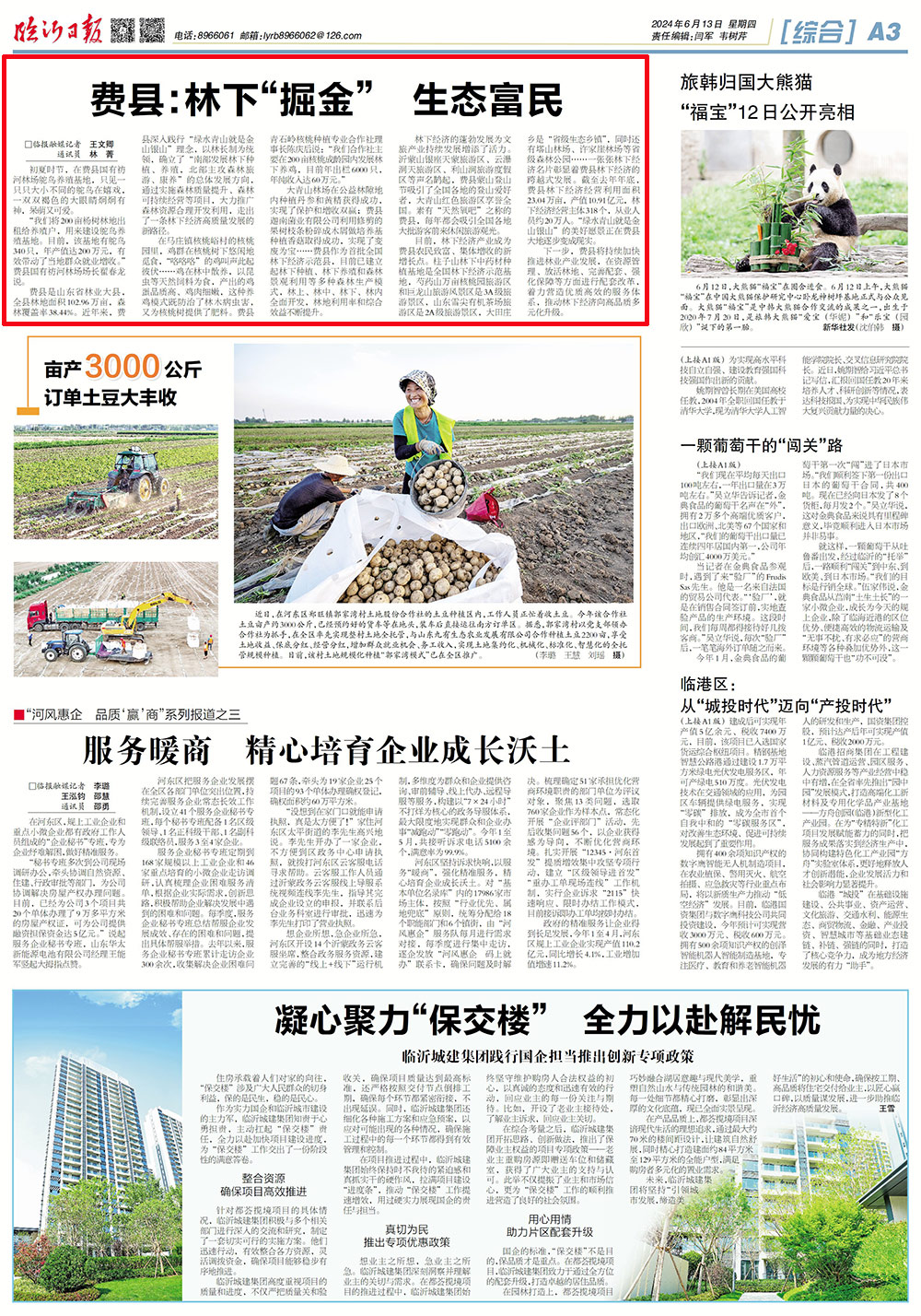 临沂费县:林下"掘金" 生态富民