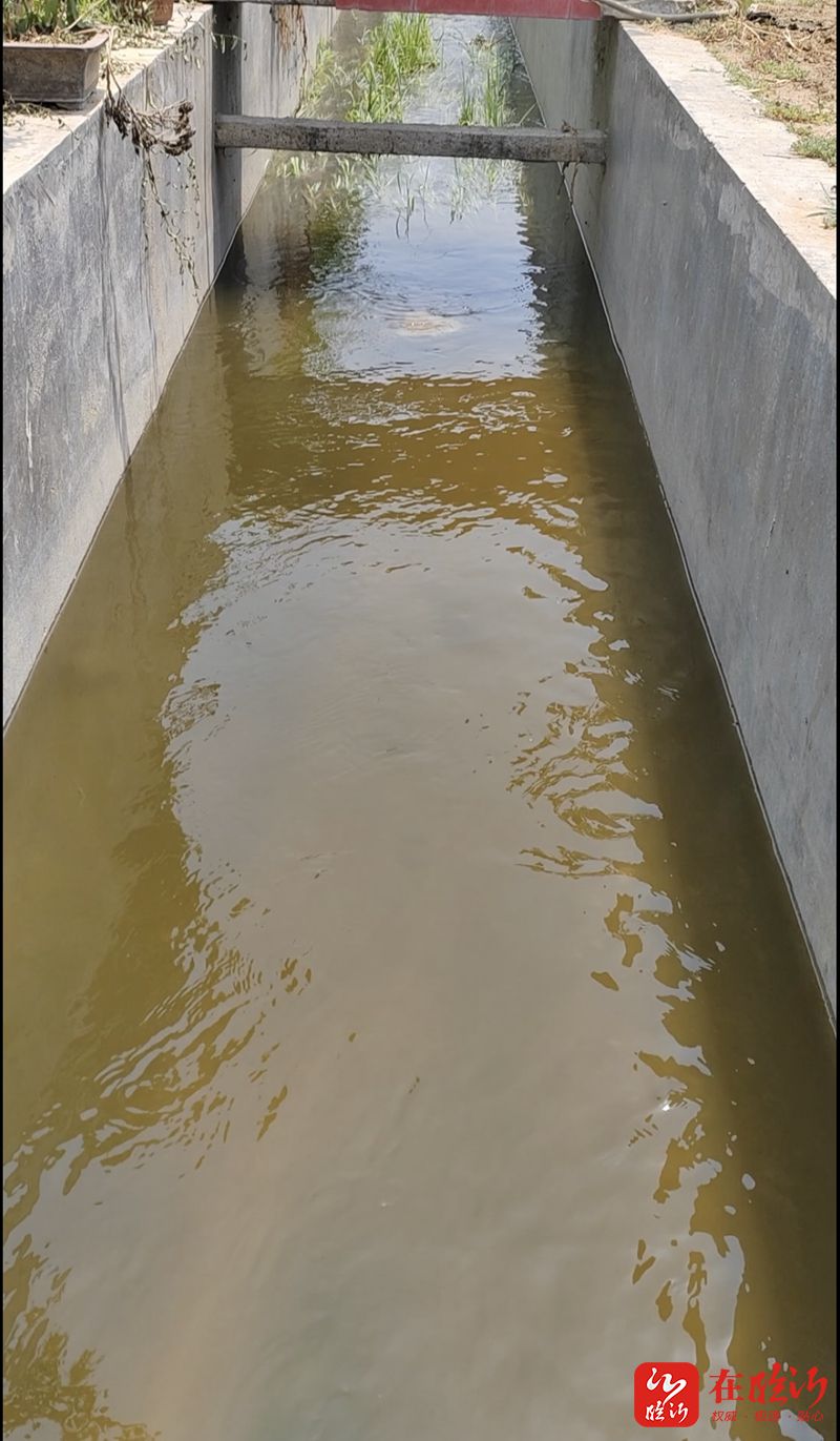 临报兰山头条(72)61抗旱进行时|枣园镇:打好抗旱