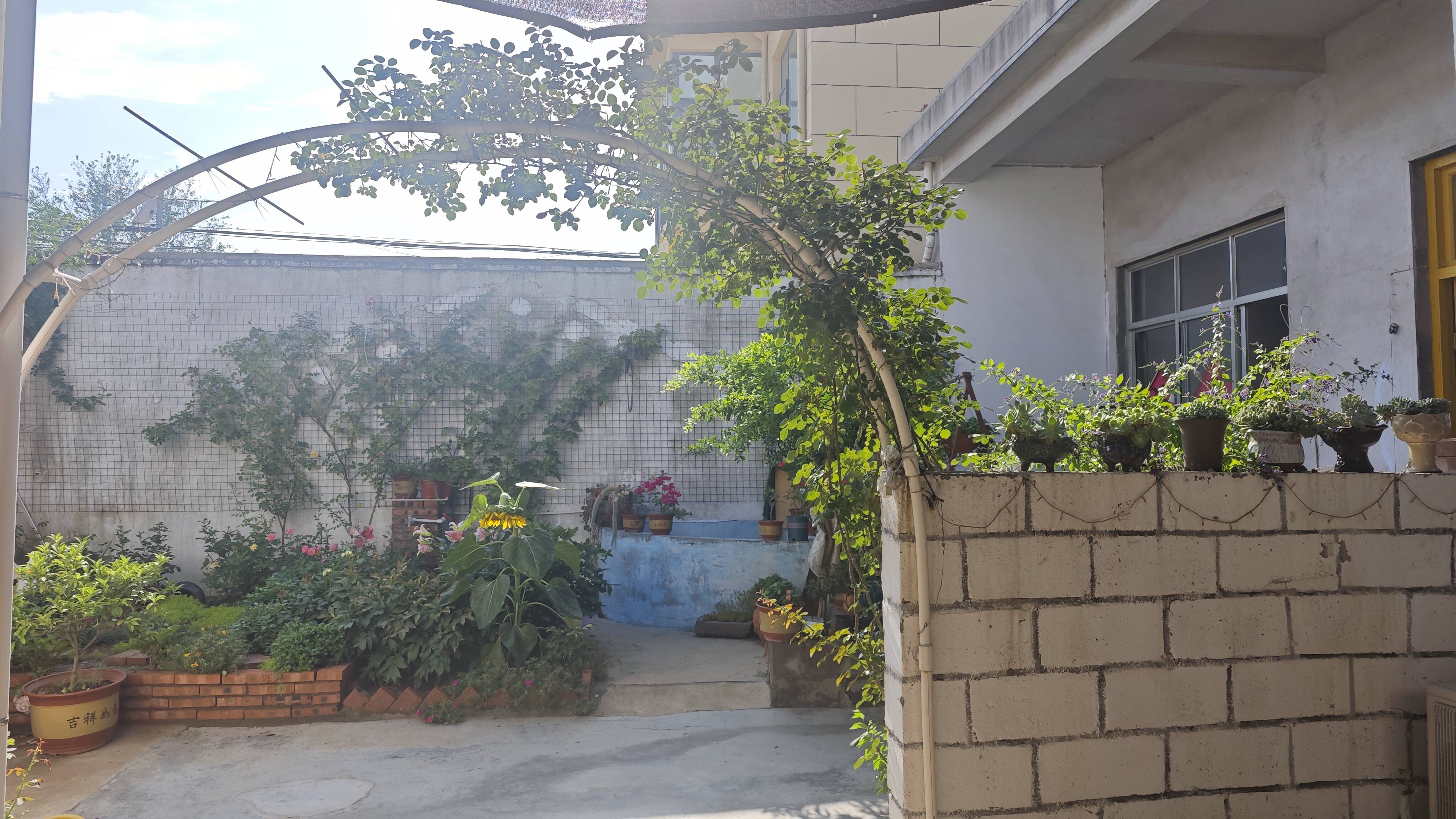 河东:郑旺镇"美在农家"风采展