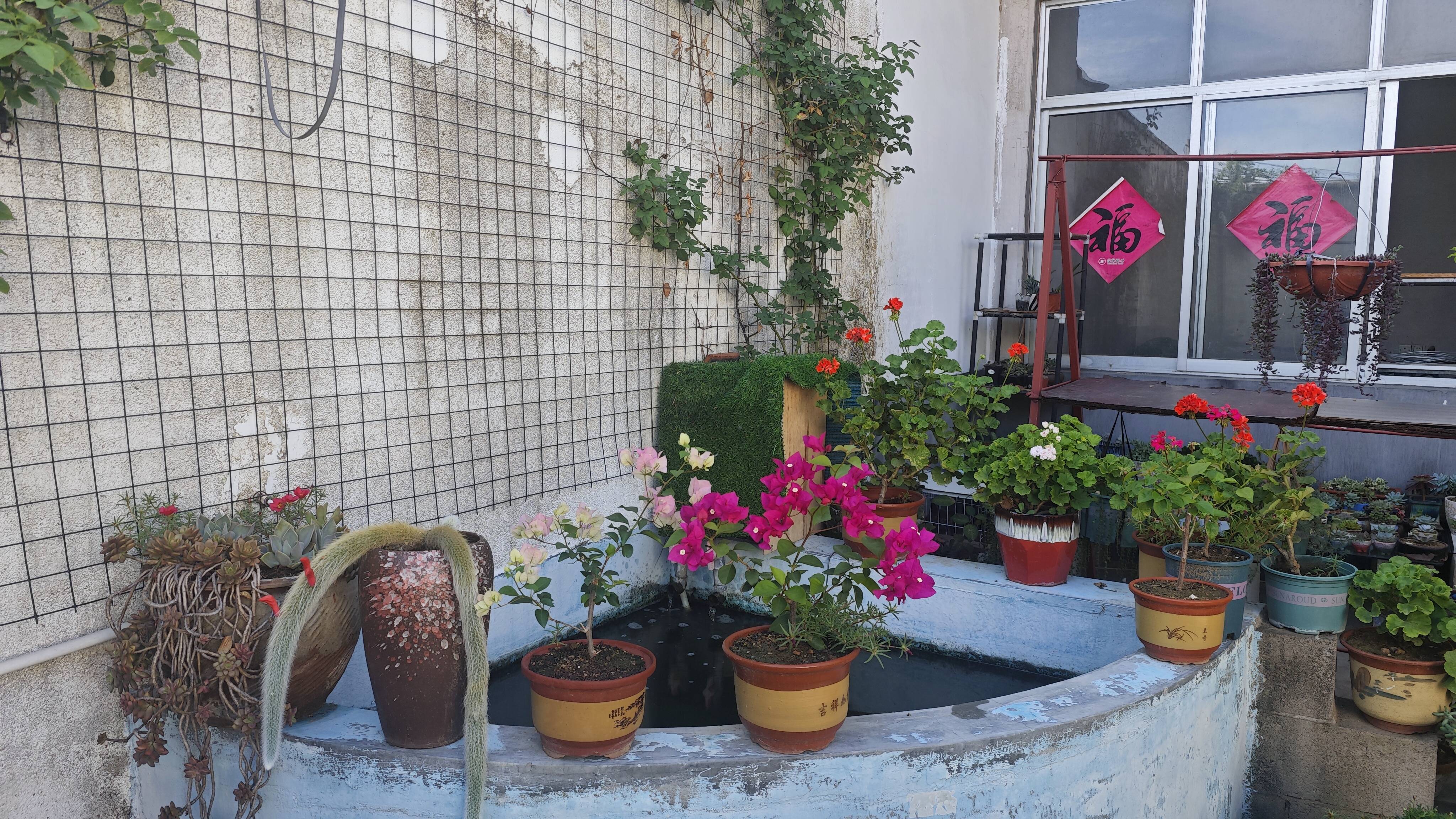 河东:郑旺镇"美在农家"风采展